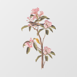 Kinglet Bird van Audubon op Roze Calico Raamsticker