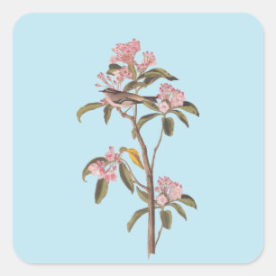 Kinglet Bird van Audubon op Roze Calico Vierkante Sticker