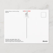 Kingman, Arizona Briefkaart (Achterkant)