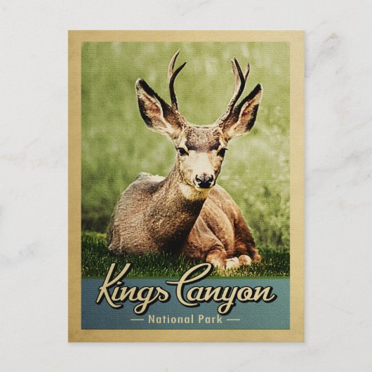 Kings Canyon National Park Deer Briefkaart (Voorkant)