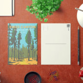 Kings Canyon National Park General Grant Briefkaart