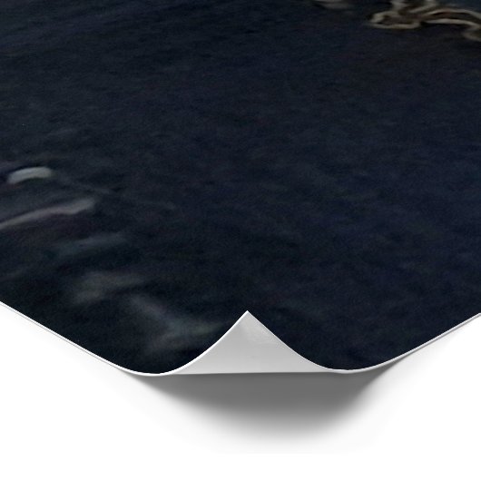 Kings College Kapel Orgel, Cambridge Poster (Hoek)