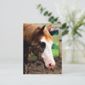 Kings Fancy Girl Briefkaart (Staand voorkant)