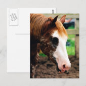 Kings Fancy Girl Briefkaart (Voorkant / Achterkant)