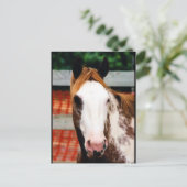 Kings Fancy Girl Briefkaart (Staand voorkant)