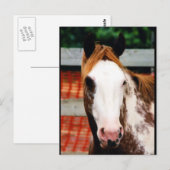 Kings Fancy Girl Briefkaart (Voorkant / Achterkant)