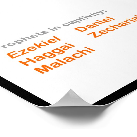 Kings of Israel and Judah Poster (Hoek)