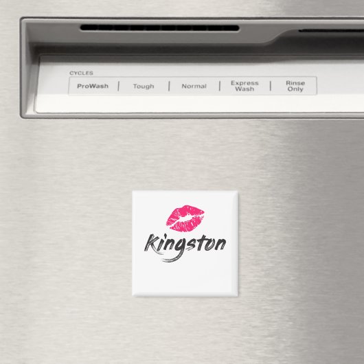 Kingston Magneet (Insitu (Vaatwasser))