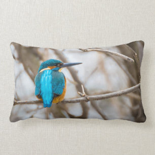 Kingvisvogel binnen of buiten kussen