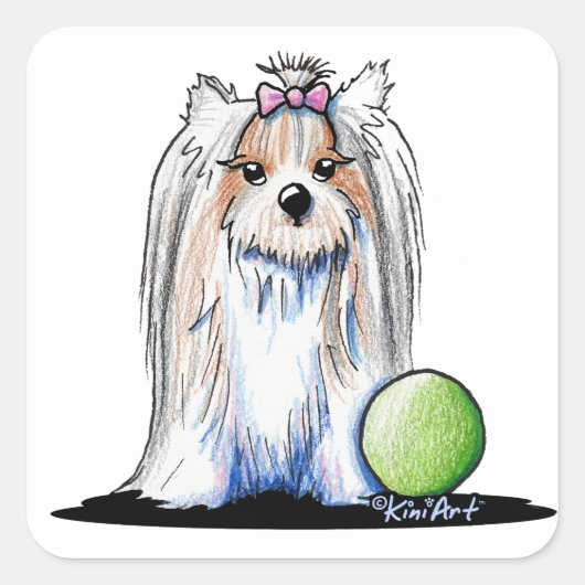 KiniArt Biewer Yorkie Terrier Vierkante Sticker (Voorkant)