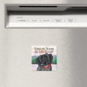 KiniArt Black Roan Brittany Magnet (Insitu (Vaatwasser))