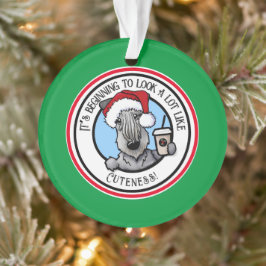 KiniArt Cesky Terrier Kerstmis Ornament