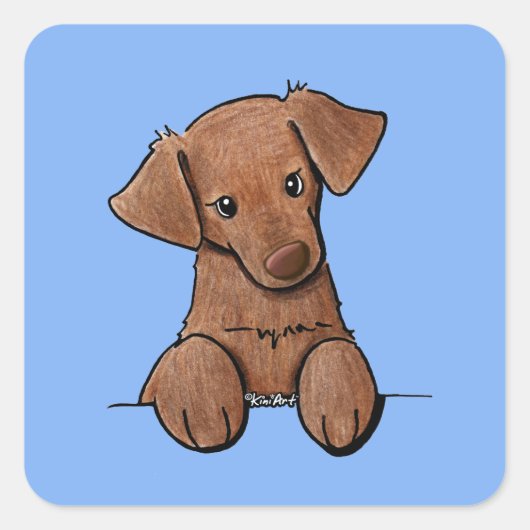 KiniArt Chocolate Lab Vierkante Sticker (Voorkant)