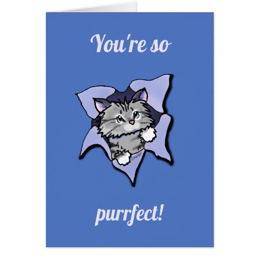 KiniArt Kat Blast (Voorkant)