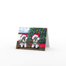 KiniArt Miniatuur Schnauzer-kerstkaart