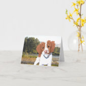 KiniArt Oranje Brittany Card Kaart (Gele Bloem)