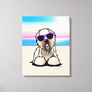 KiniArt Soft Coated Wheaten Terrier Canvas Afdruk