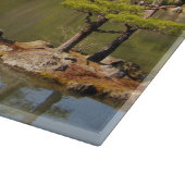 Kinkaku-ji 金 閣 寺 tempel van het gouden paviljoen snijplank (Hoek)