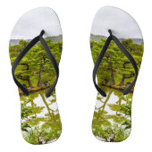 Kinkaku-ji of Golden Pavilion and Pond, Kyoto Teenslippers (Voetbed)