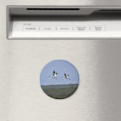 Kinkhijskranen bij Aransas National Wildlife Refug Magneet (Insitu (Vaatwasser))