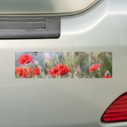 kinkhoest bumpersticker (Op auto)