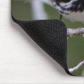 Kinney County, Texas Goudkauwgaas Muismat (Hoek)