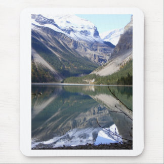 Kinney Lake bij Mt Robson Park Muismat