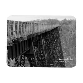 Kinzua Bridge Skywalk B&W Autumn Souvenir Fridge Magneet