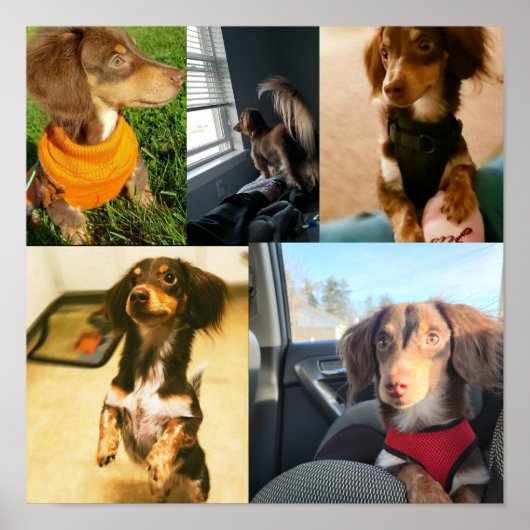 Kio's schattige afbeeldingen poster (Voorkant)