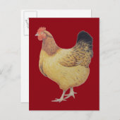 Kip 2012 briefkaart (Voorkant / Achterkant)