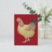 Kip 2012 briefkaart (Staand voorkant)