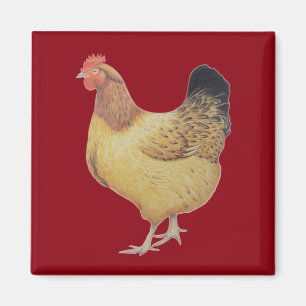 Kip 2012 magneet