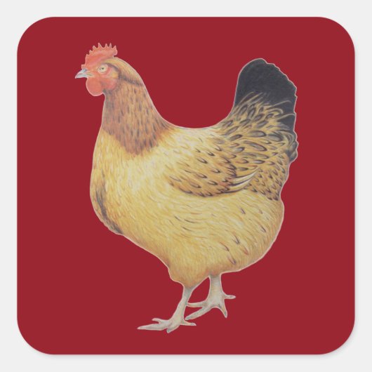 Kip 2012 vierkante sticker (Voorkant)