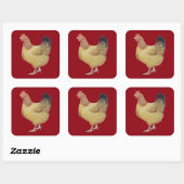 Kip 2012 vierkante sticker (Vel)