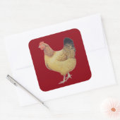 Kip 2012 vierkante sticker (Envelop)