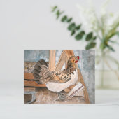 kip art pet portret postkaart kunst (Staand voorkant)