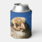 kip, dier, griet, vogel, boerderij, masker, schatt blikjeskoeler (Blikje Voorkant)