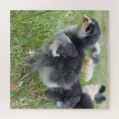 kip, dier, griet, vogel, boerderij, schattig, puzz legpuzzel (Horizontaal)