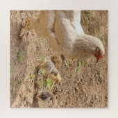 kip, dier, kuiken, vogel, boerderij, schattig, puz legpuzzel (Horizontaal)