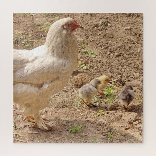 kip, dier, kuiken, vogel, boerderij, schattig, puz legpuzzel (Verticaal)