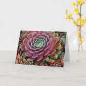 Kip en Kuikens Kaart (Gele Bloem)