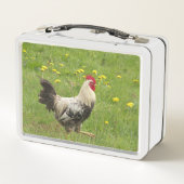 kip, haan, dier, vogel, boerderij, landbouw, (Achterkant)