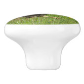 kip, haan, dier, vogel, boerderij, landbouw, keramische knop (Zijkant)