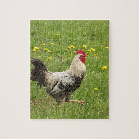 kip, haan, dier, vogel, boerderij, landbouw, legpuzzel (Verticaal)