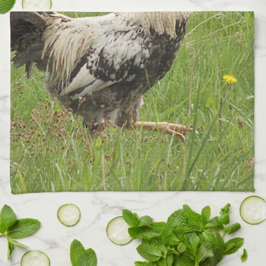 kip, haan, dier, vogel, boerderij, landbouw, theedoek (Gevouwen)