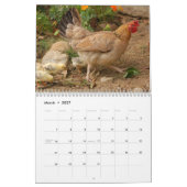 Kip Hen Kalender (Mar 2027)