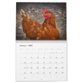 Kip Hen Kalender (Jan 2027)