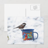 Kip in de sneeuw briefkaart (Voorkant / Achterkant)