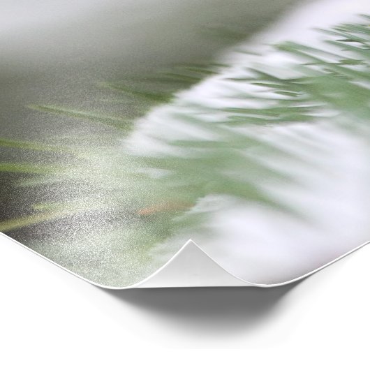 Kip in de sneeuw foto afdruk (Hoek)