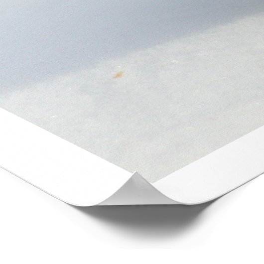 Kip in de sneeuw poster (Hoek)